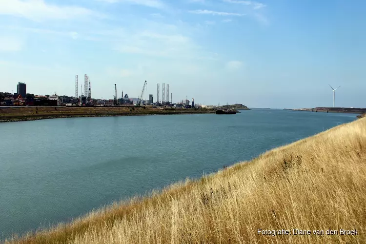 Inwoners mogen broeden op nieuwe naam zeeluis IJmuiden