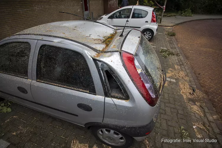 Auto&#39;s beschadigd door omgevallen boom door storm IJmuiden