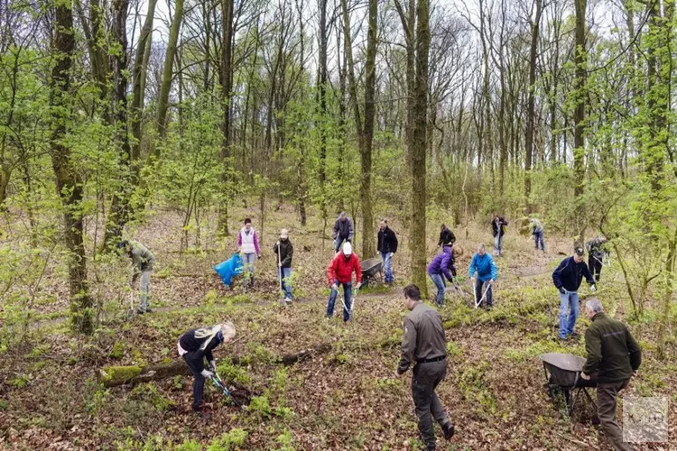 Met de boswachter aan de slag op Buitenplaats Beeckestijn