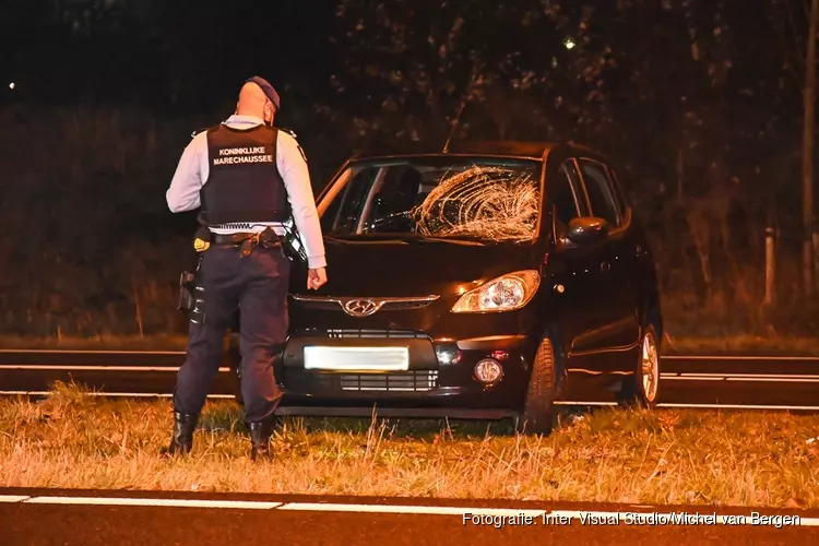 Fietser klapt op voorruit van auto op de N197 bij Velsen-Noord