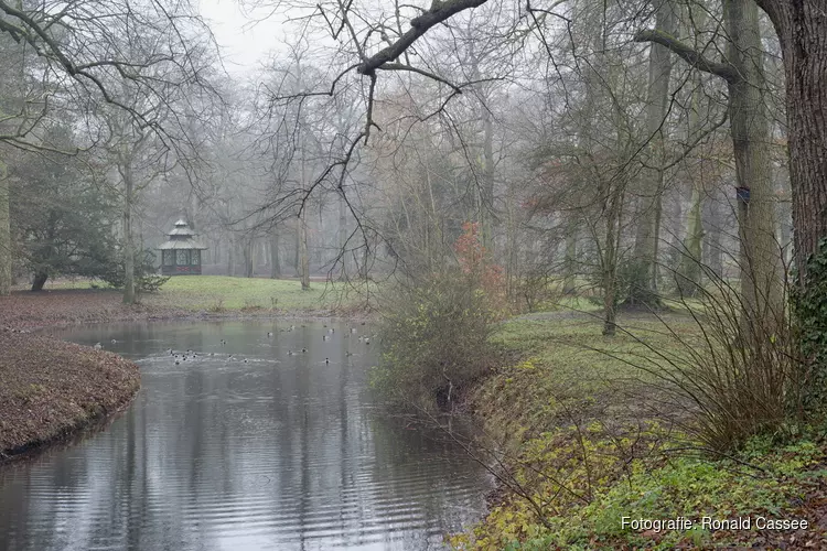 Kerst- en wintergroenexcursie Landgoed Velserbeek