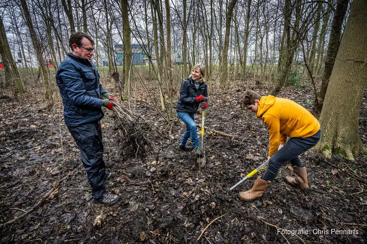 Vrijwilligers oogsten zo&#39;n 2.000 jonge boompjes in  Wijkeroogpark voor tweede leven op nieuwe plek