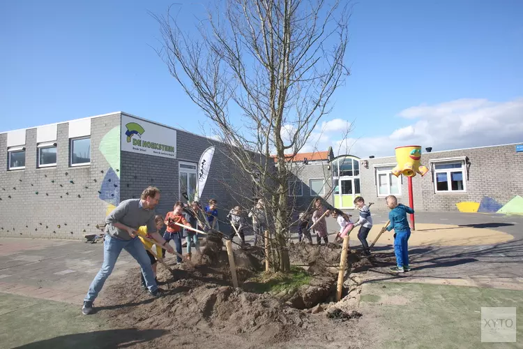 27e boom Lokaal Klimaat Akkoord geplant op schoolplein De Hoeksteen in Velserbroek!