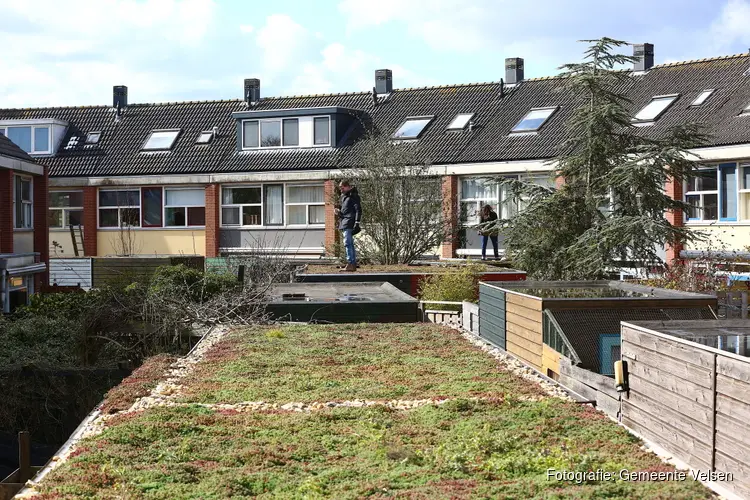 Inwoners leggen 35 groene daken aan in Velserbroek