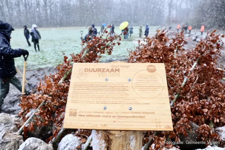 100 bomen geplant in Velsen-Noord voor het Lokaal Klimaat Akkoord