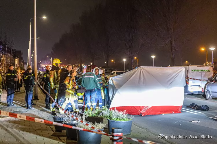 Vrouw en hond overleden na verkeersongeval IJmuiden
