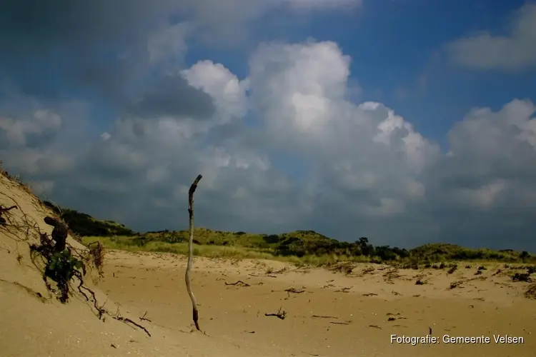 Zuidelijk deel strand IJmuiden rustgebied voor kustvogels