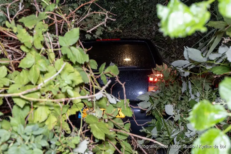 Automobiliste onder invloed rijdt bosjes in