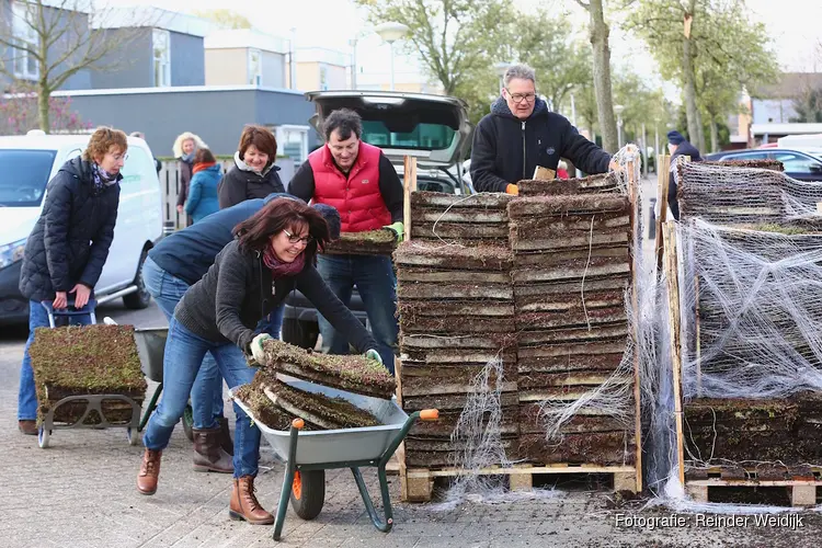 Start een buurtactie groene daken!