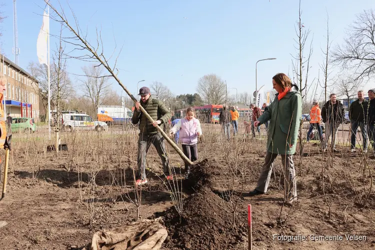 150 extra bomen planten in Velserbroek