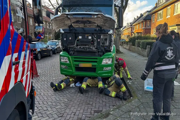 Poes zat vast in motorblok vrachtwagen in Santpoort-Noord