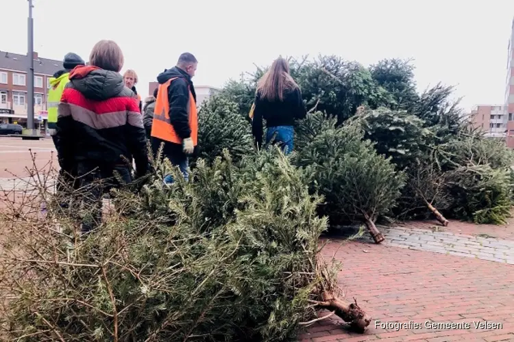 Route kerstbomeninzameling