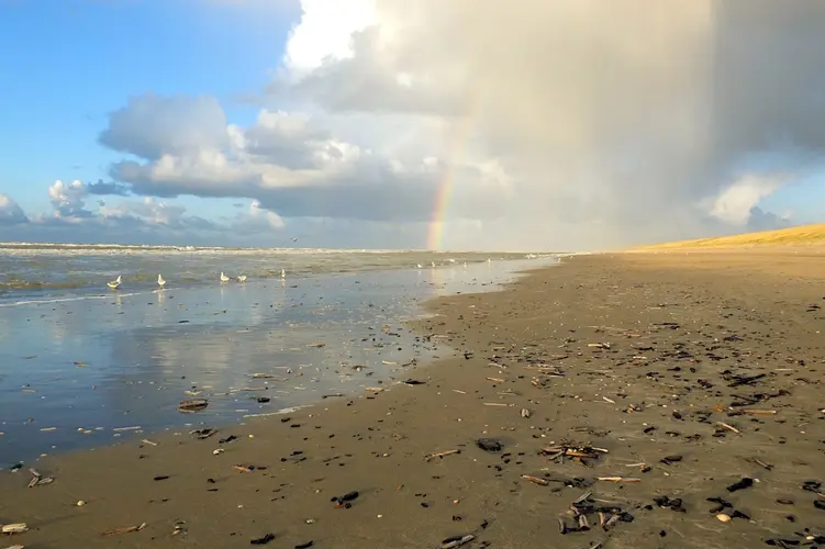 Winterse strandexcursie in IJmuiden