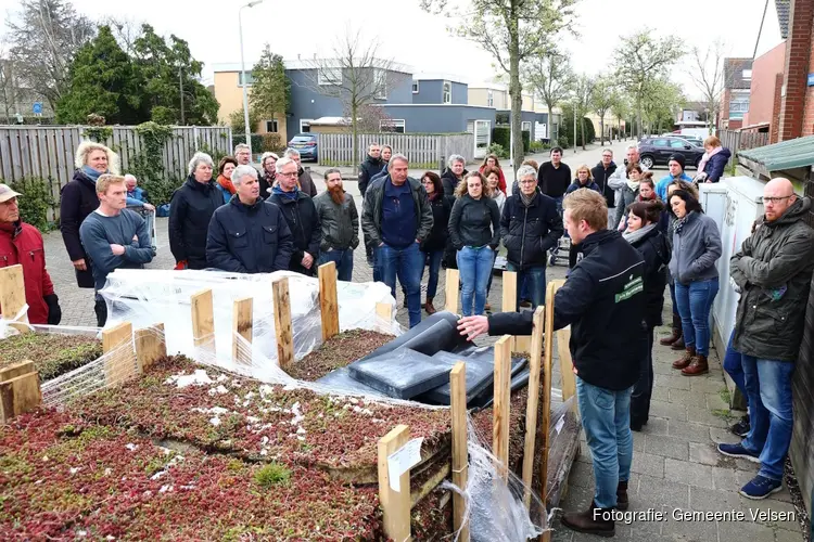 Groen dak op uw schuur of uitbouw?