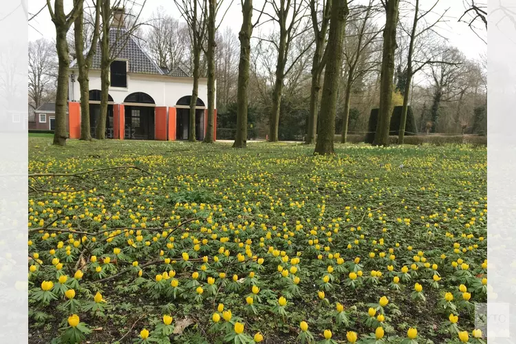 Voorjaarswandelingen op buitenplaats Beeckestijn