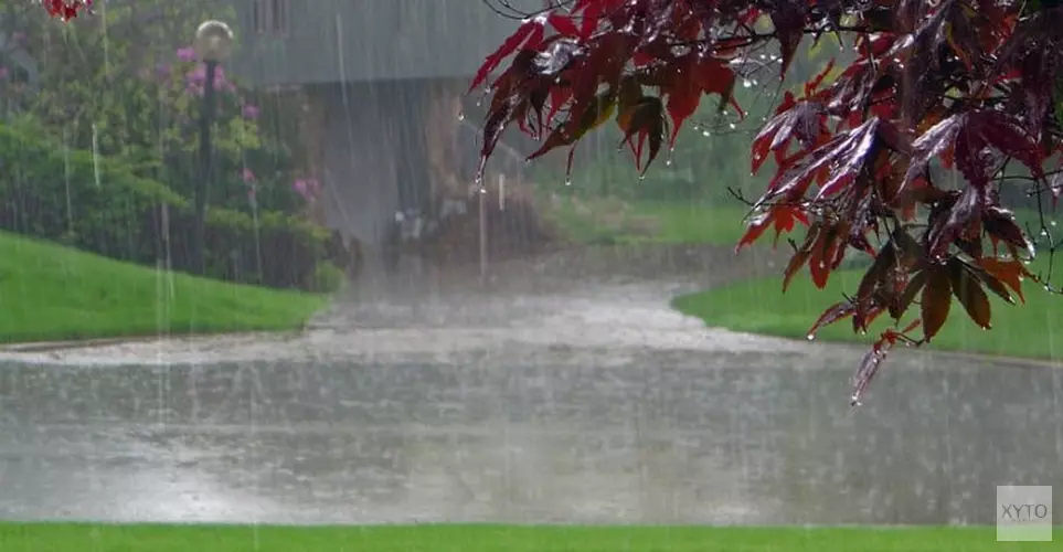 Frisse wind door provincie: vanaf donderdag flinke regenbuien