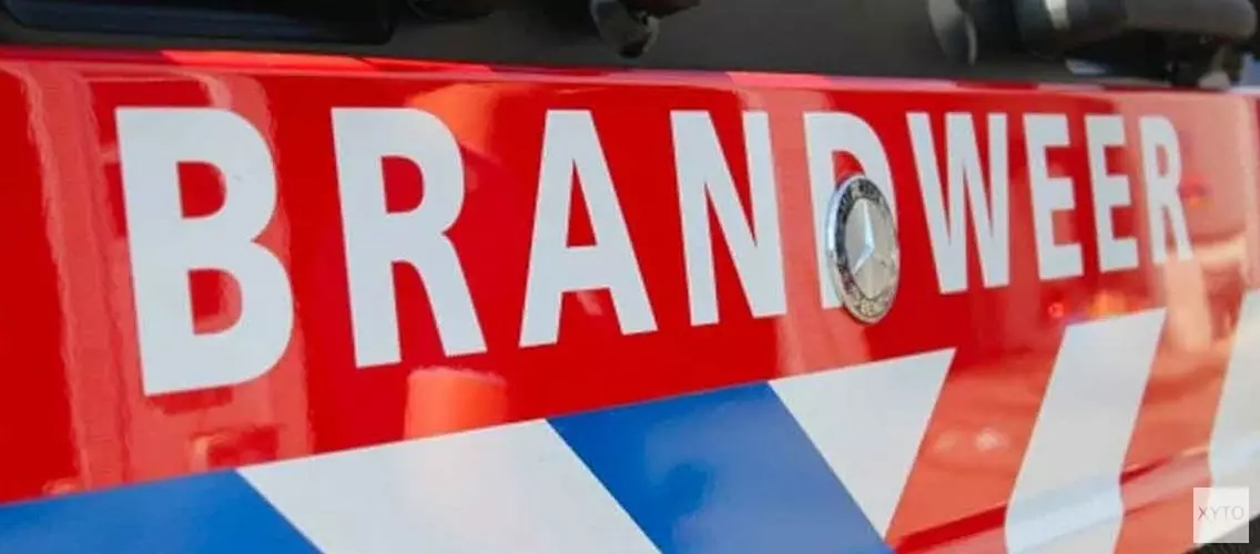 Grote brand in loods havengebied IJmuiden