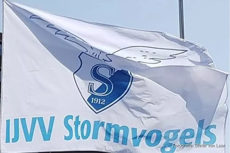 Stormvogels door HYS verder het moeras ingedrukt