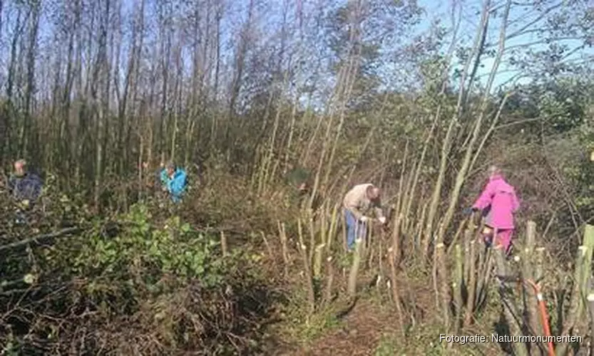 Natuurmonumenten zoekt vrijwilligers voor bos en duin