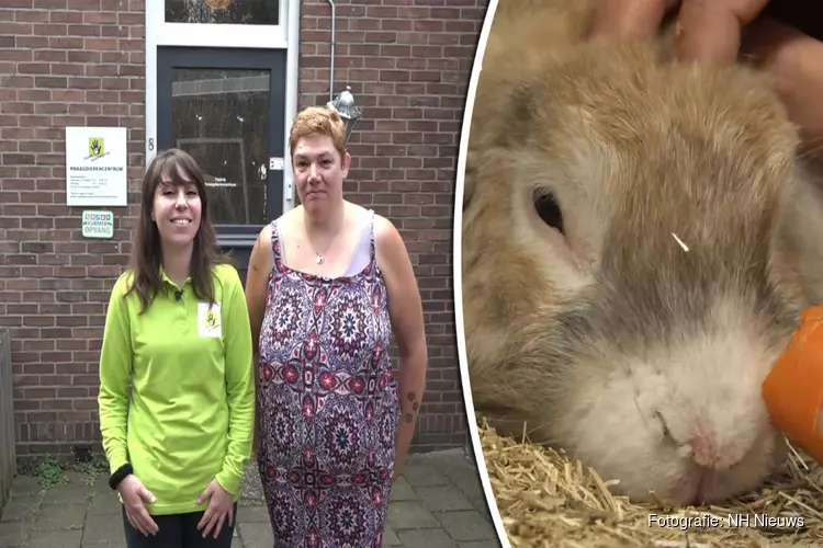 Nijpend tekort aan vrijwilligers Knaagdierencentrum IJmuiden: "De dieren hebben liefde nodig"