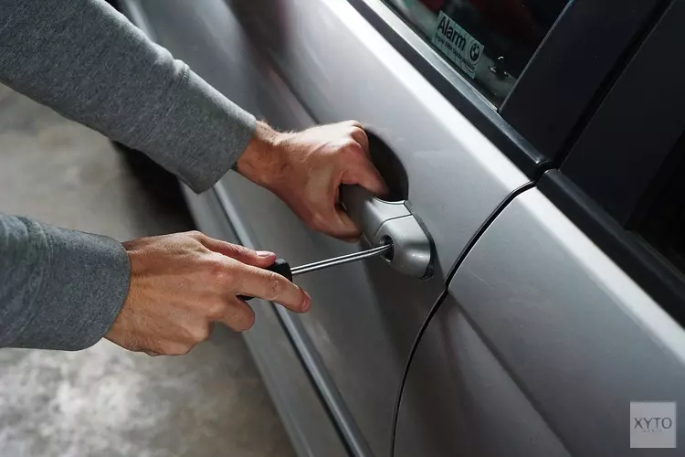 IJmonder grijpt eigenhandig autodief die probeert in te breken